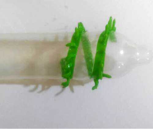 کاندوم فضایی شادو مدل ایلین چرخشی Shadow Ailen Spiral Condom